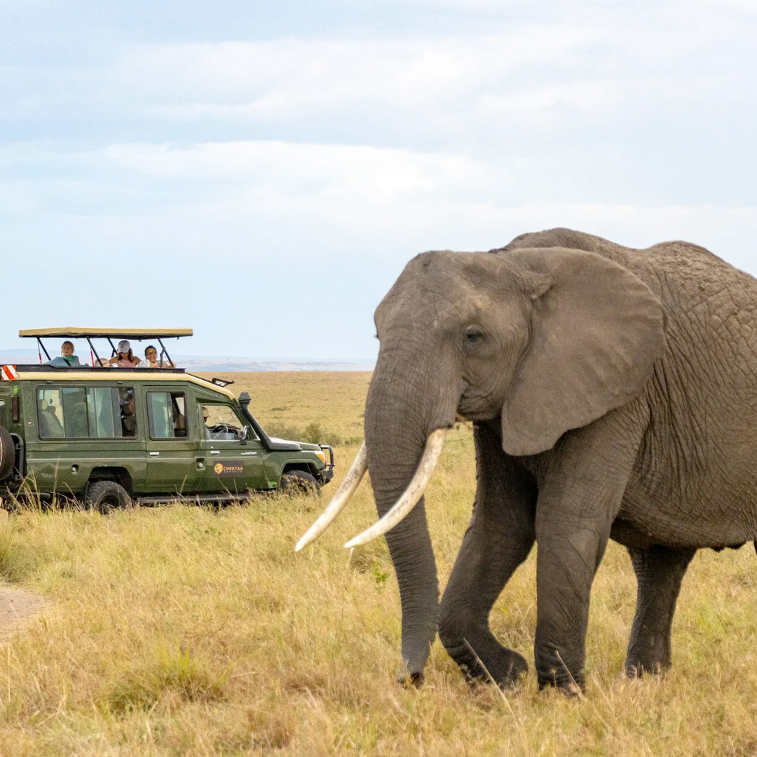 Amboseli National Park travel in kenya