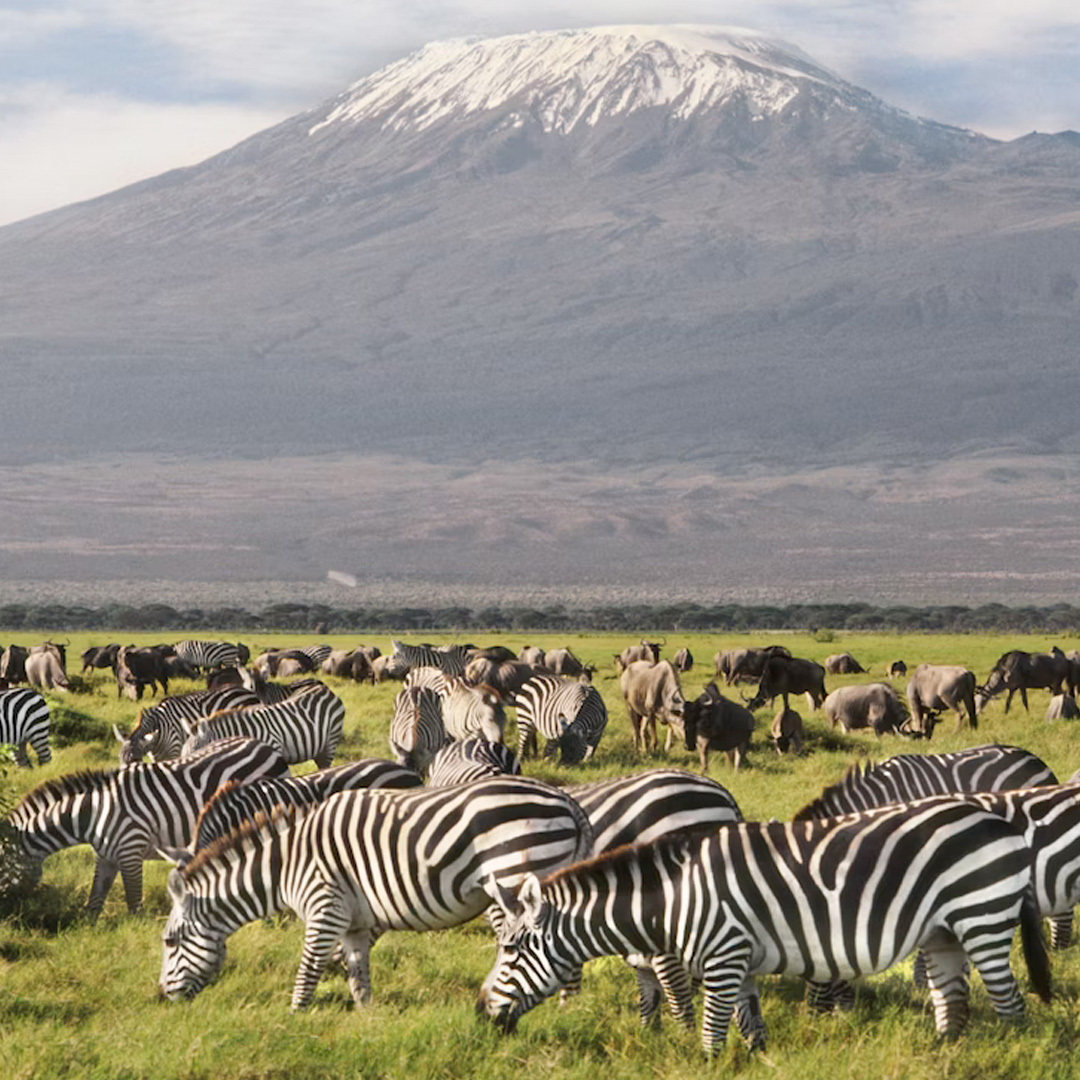 Amboseli National Park travel