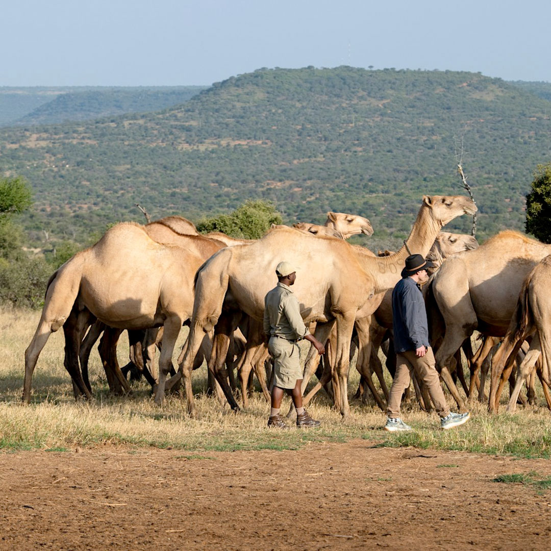 Laikipia by Kisiwa Stays