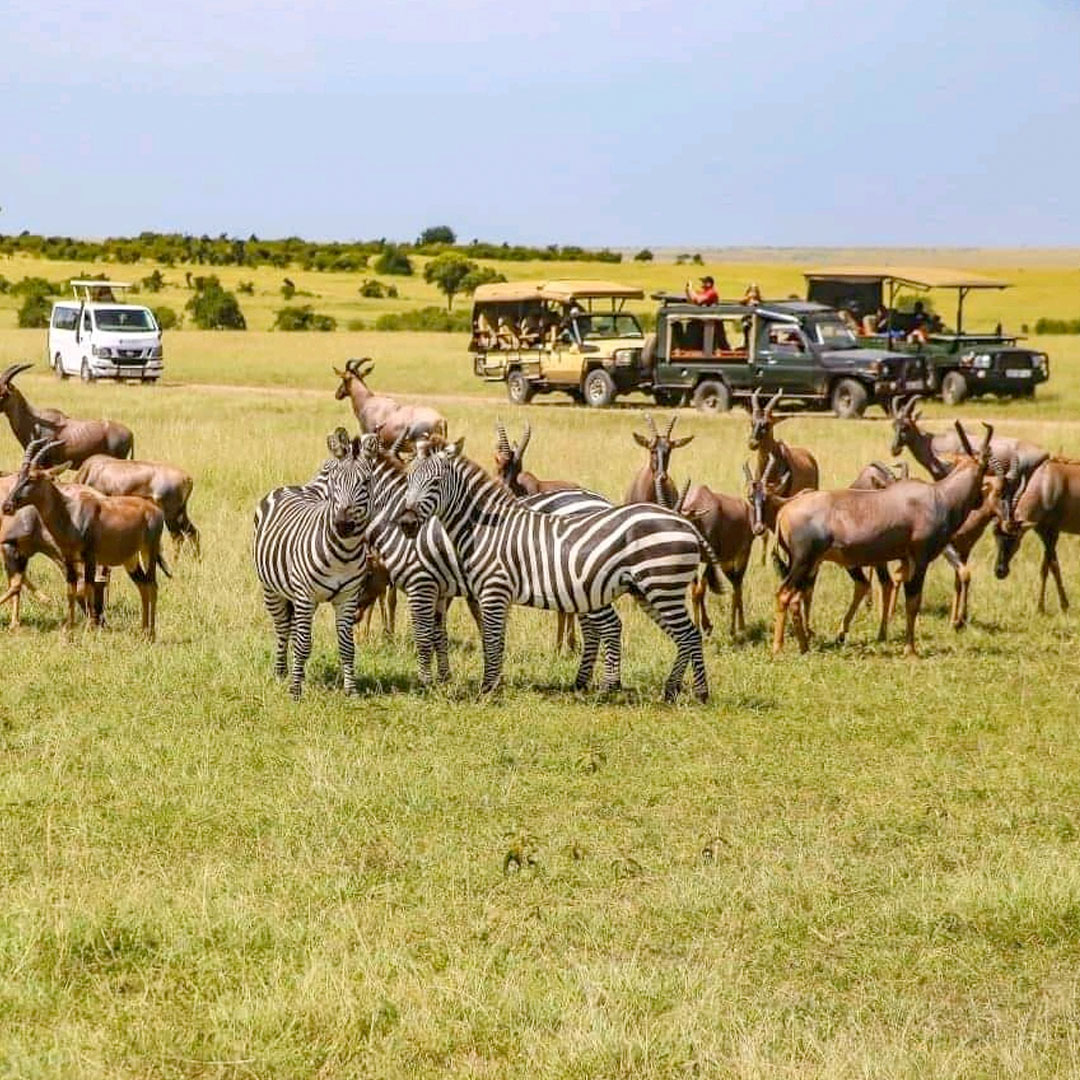 THE MASAI MARA National Reserve in kenya