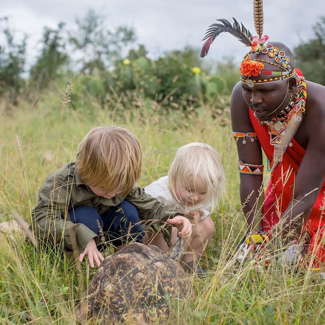 THE MASAI MARA national park
