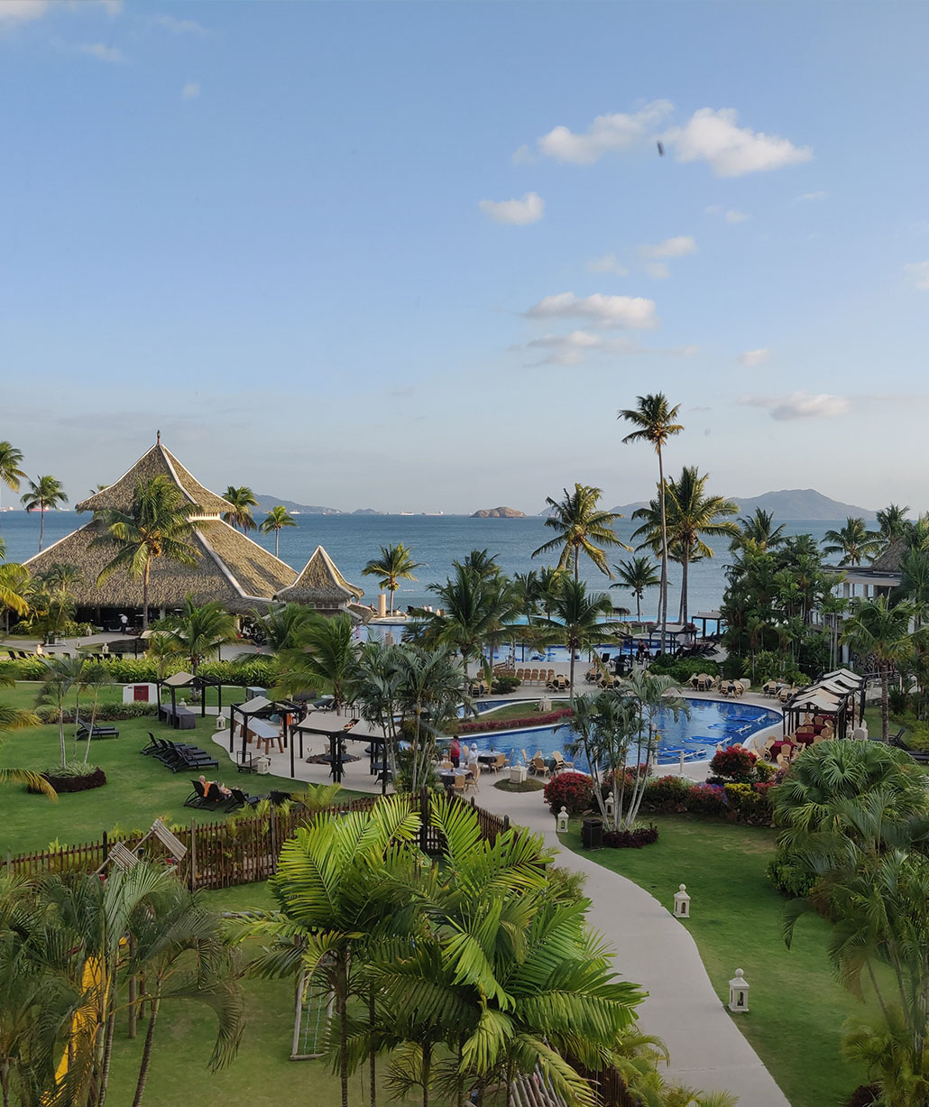 high-angle-view-palm-trees-by-swimming-pool-against-sky