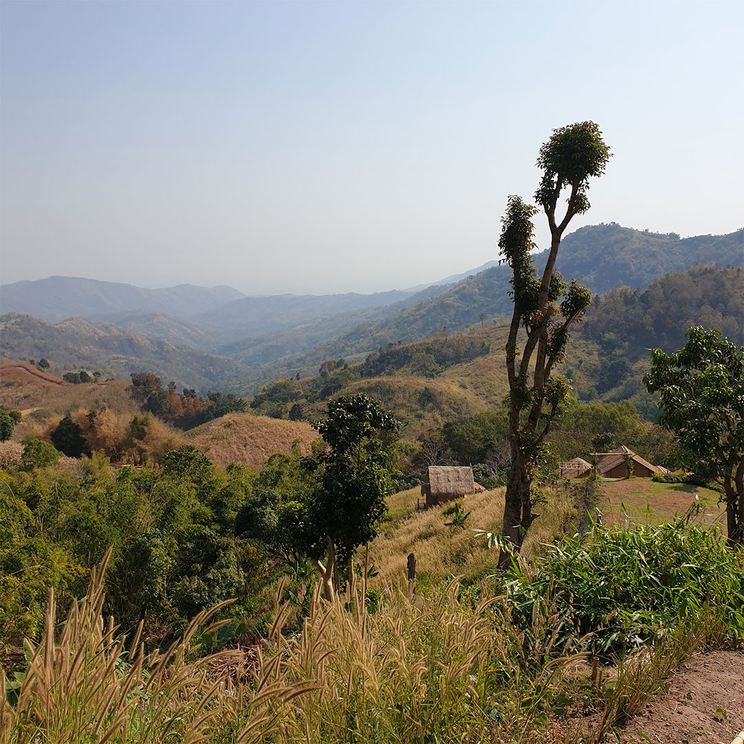 scenic-view-landscape-against-clear-sky