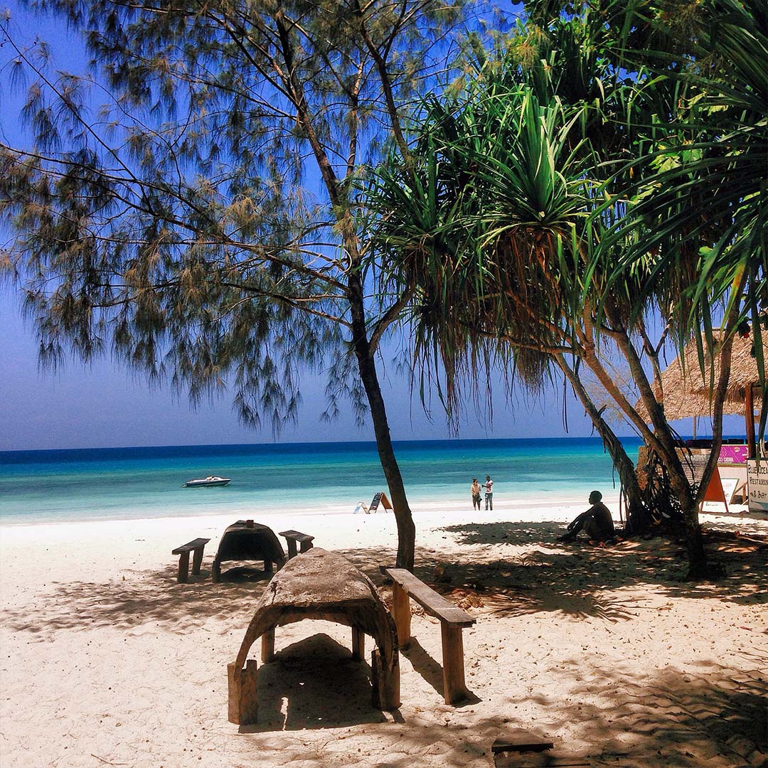 view-tropical-beach